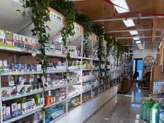 -中国农业大学动物医院