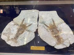 -阿胖龙虾小海鲜(宁国南路总店)