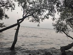 -宝安西湾红树林湿地公园