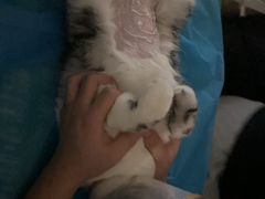 -美迦爱-牙专科·兔科·骨科诊疗中心(北苑店)