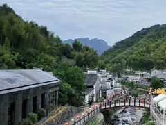 -四明山国家森林公园