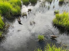 -花湖生态旅游区