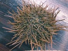 -月下料理(楷林IFC店)