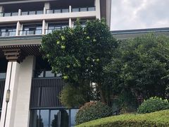 -千岛湖君澜度假酒店(文广轩中餐厅)