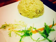 -百好乐宠物友好餐厅(朝外大街店)