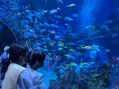-海合安成都极地海洋公园