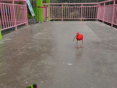 -宁波野生动物园