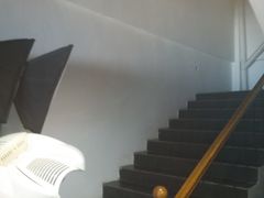 -杨记小骨头羊杂馆(南五马路店)