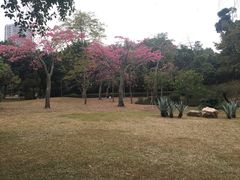 -晓港公园