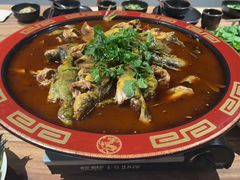 -胖大姐黄辣丁鱼庄(新津店)