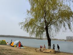 -丁香湖公园