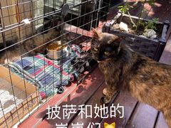 -EATALIA意塔利意式餐厅(鼓楼店)