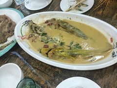 -掌勺人鱼馆(朝阳镇店)