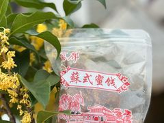 -苏州市吴中区光福窑上花果蜜饯厂