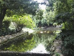 -成都市活水公园