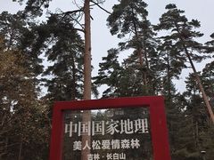 -美人松苑