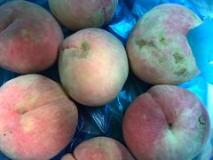 -南汇水蜜桃采摘(大团店)