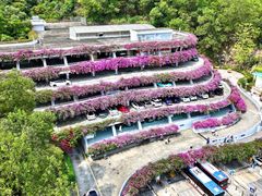 -深圳仙湖植物园