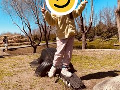 -前小桔亲子创意农场·草莓采摘·露营烧烤