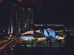 -新加坡丽思卡尔顿美年酒店