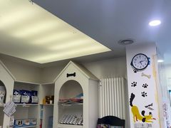 -特一安24小时宠物医院·骨科·中兽医