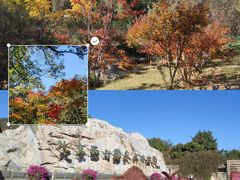 -北京西山国家森林公园