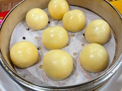 -鹤乡东北菜(崮山路店)