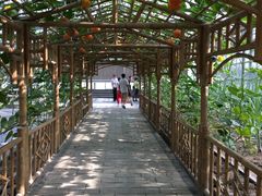 -万源龙顺度假庄园生态观光园