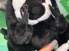 -ZOO COFFEE动物园咖啡(红山森林动物园店)