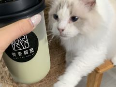 -卿云猫阁猫咖
