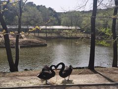-沈阳森林动物园