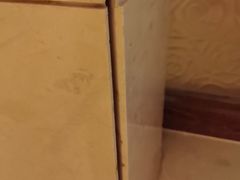 -济南喜来登酒店