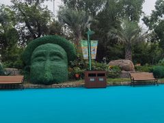 -苏州乐园森林水世界