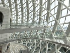 -凤凰中心