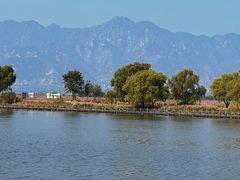 -野鸭湖国家湿地公园