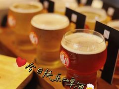 -Boxing Cat Brewery拳击猫精酿啤酒馆(永福店)