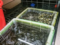 -毛哥小馆子(百井坊巷店)
