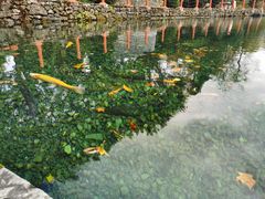-丽江玉水寨