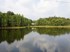 -青龙山国家森林公园