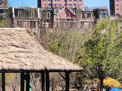 -前关湿地公园