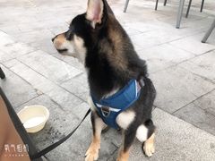 -PHO爺·越南料理(亦庄大族广场店)