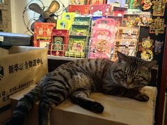 -正阳书局(西四南大街店)