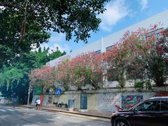 -深圳市罗湖体育馆