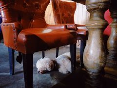 大堂-静香HOUSE·全时段融合餐厅(七星欢乐颂店)
