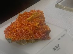 -湖南省地质博物馆