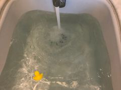 -上海世茂皇家艾美酒店