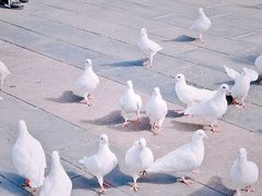 -天津妈祖文化园