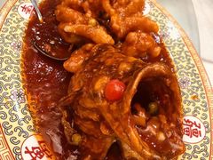 桂鱼-砂锅居(西四店)