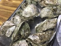 -大富蚝乌东哥饭店·石锅鱼杂·柠檬鸭(革新路店)