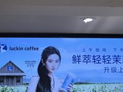 -吉林市朱雀山国家森林公园